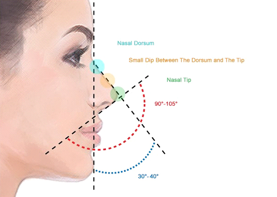 perfect nose shape your face